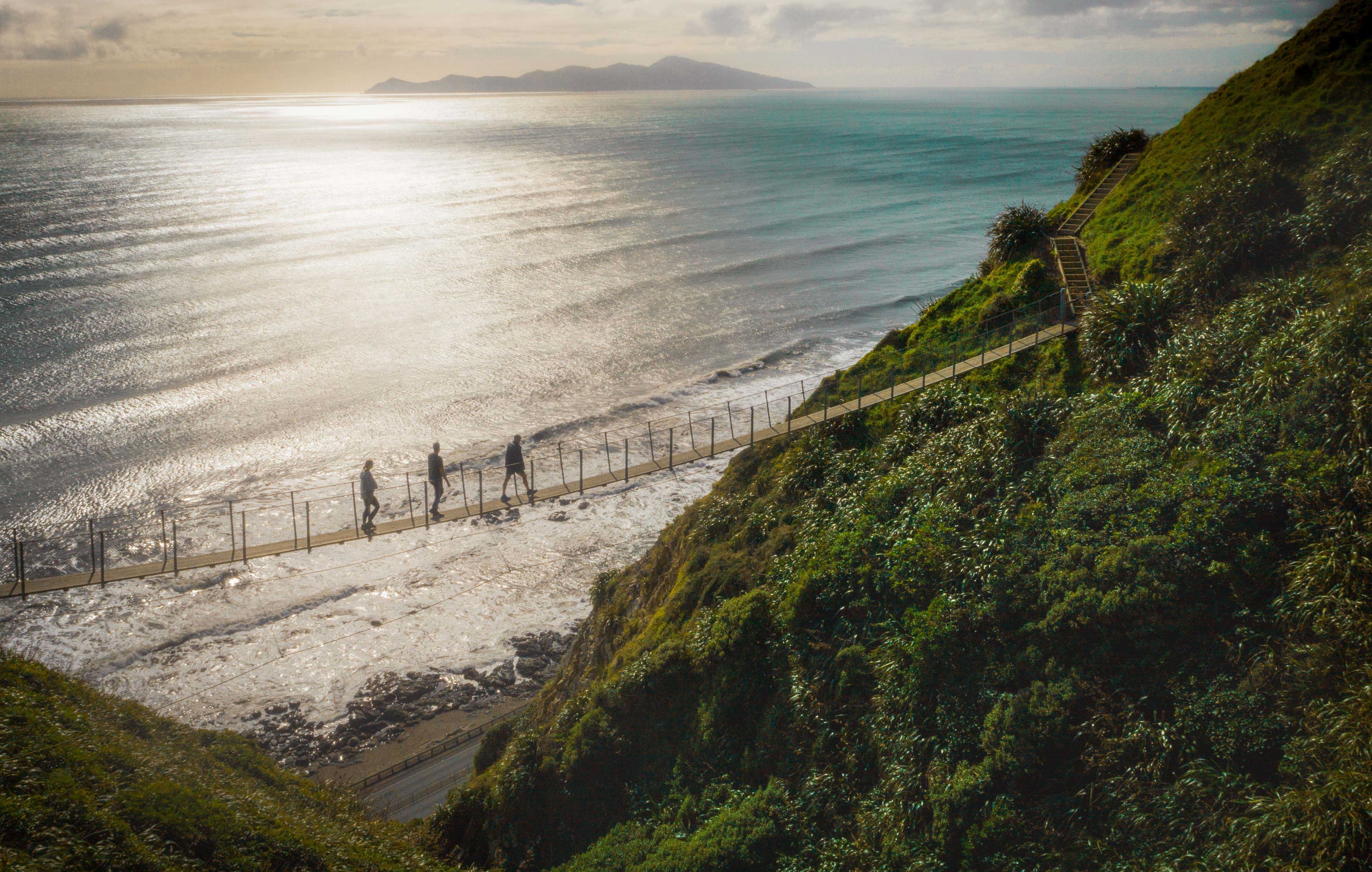 Kāpiti Coast escarpment track